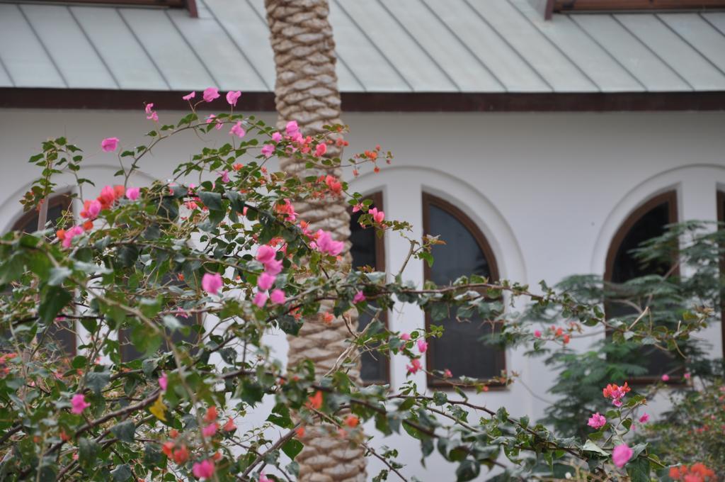 Russian Pilgrim Residence Sweimeh Dış mekan fotoğraf